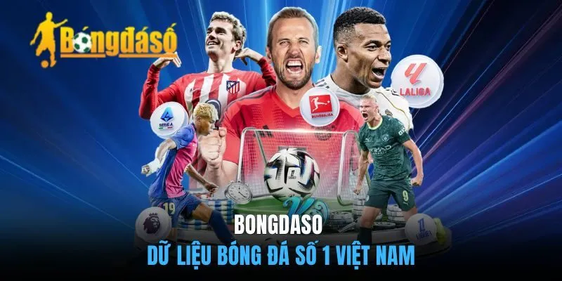 Bongdaso - Kênh Tổng Hợp Dữ Liệu Bóng Đá Số 1 Việt Nam